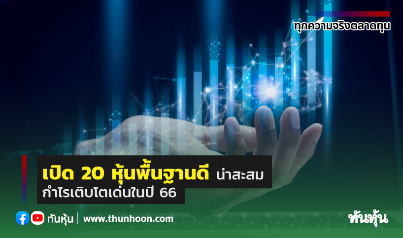 เปิด 20 หุ้นพื้นฐานดีน่าสะสม กำไรเติบโตเด่นในปี 66 - Thunhoon