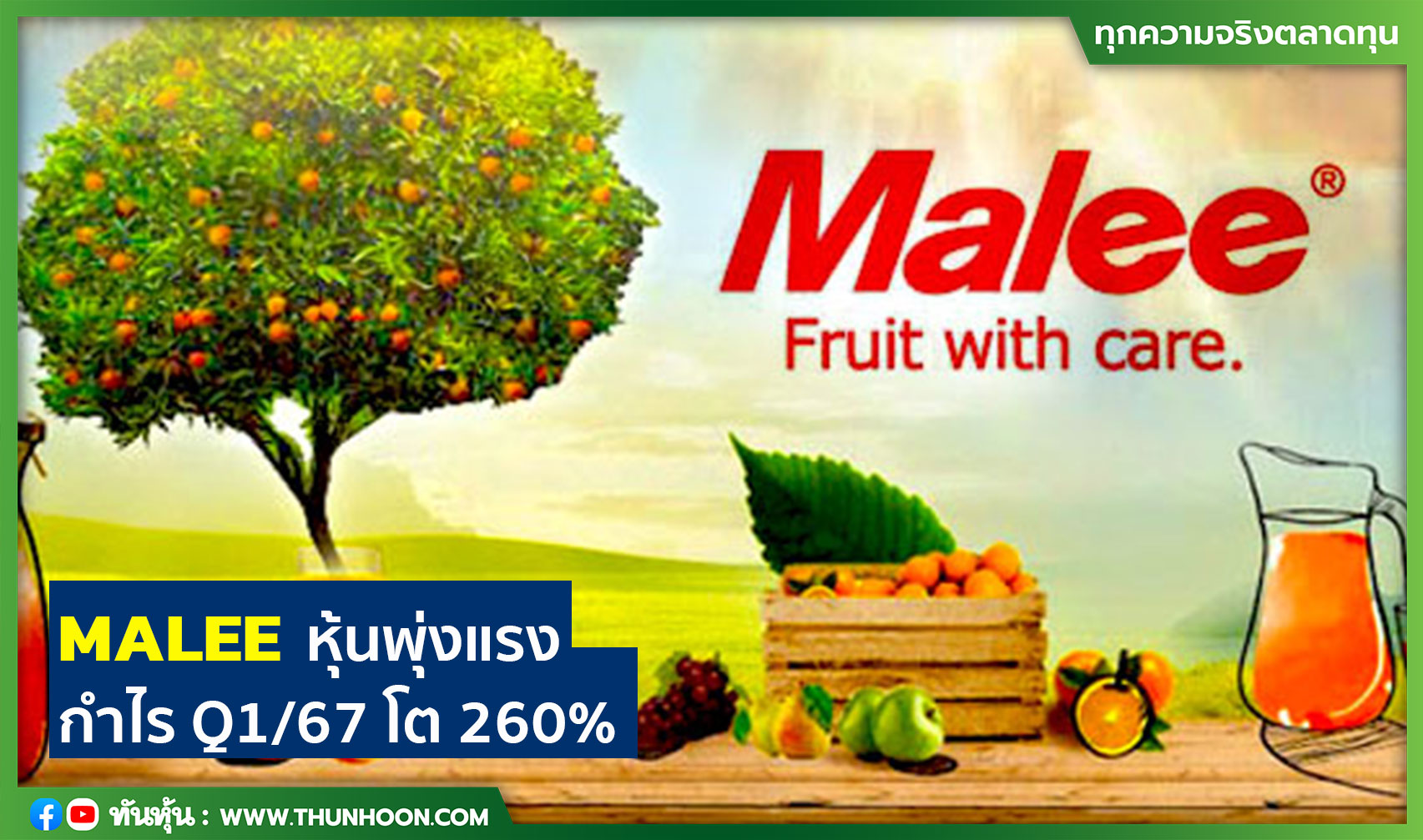 MALEE หุ้นพุ่งแรง กำไร Q1/67 โต 260%