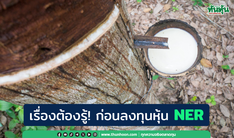 เรื่องต้องรู้! ก่อนลงทุนหุ้น NER