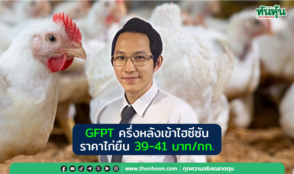 GFPTครึ่งหลังเข้าไฮซีซัน ราคาไก่ยืน39-41บาท/กก.